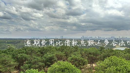 逾期费用比借款总额还多合法吗 逾期费用比借款总额还多合法吗