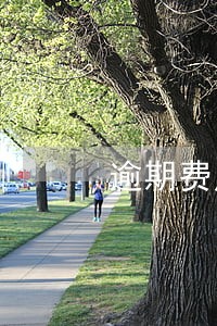 逾期费用比本金 逾期费用比本金