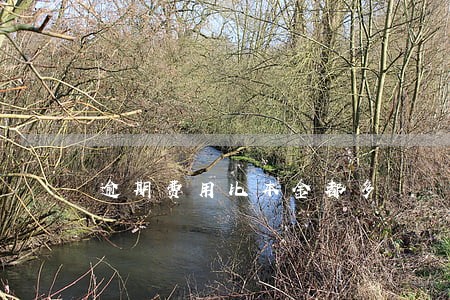 逾期费用比本金都多 逾期费用比本金都多
