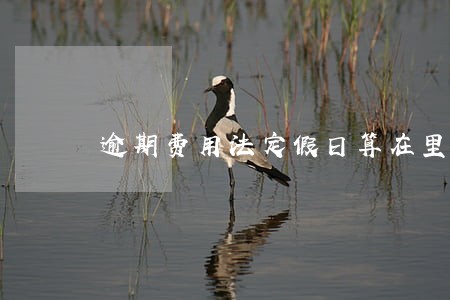 逾期费用法定假日算在里面吗
