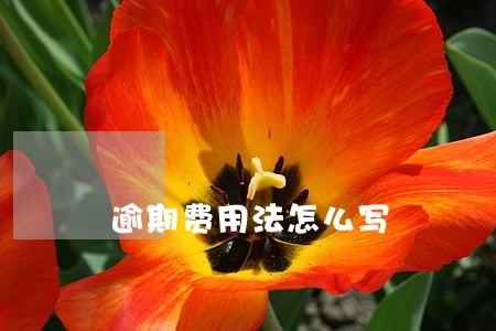 逾期费用法怎么写