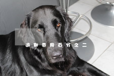 逾期费用百分之二