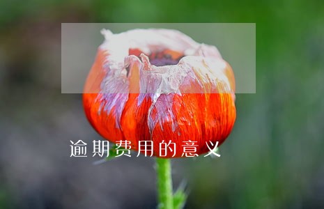 逾期费用的意义 逾期费用的意义