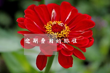 逾期费用的标准 逾期费用的标准