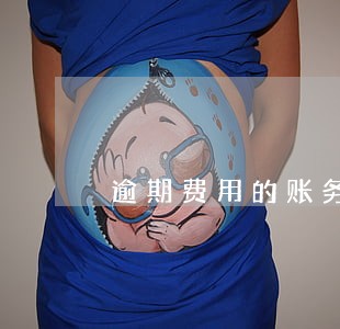 逾期费用的账务处理 逾期费用的账务处理