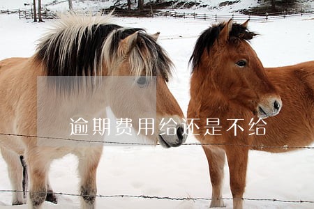 逾期费用给还是不给 逾期费用给还是不给