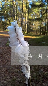 逾期费用罚息多少才合理 逾期费用罚息多少才合理