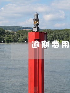 逾期费用自行解决什么意思 逾期费用自行解决什么意思