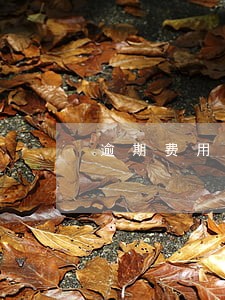 逾期费用英文怎么说 逾期费用英文怎么说