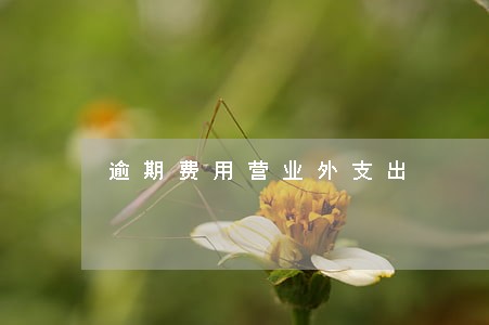 逾期费用营业外支出 逾期费用营业外支出