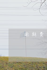 逾期费用规定 逾期费用规定