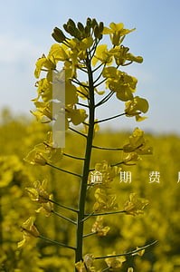 逾期费用计算公司 逾期费用计算公司