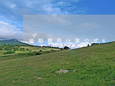 逾期费用计算公式6 逾期费用计算公式6