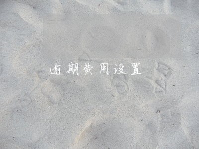逾期费用设置 逾期费用设置