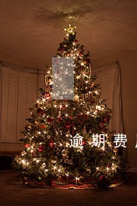 逾期费用该还吗 逾期费用该还吗