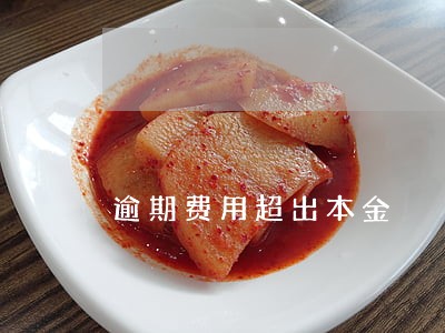 逾期费用超出本金 逾期费用超出本金