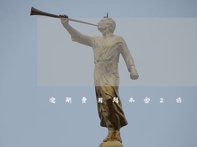 逾期费用超本金2倍 逾期费用超本金2倍