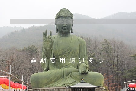 逾期费用超过多少 逾期费用超过多少
