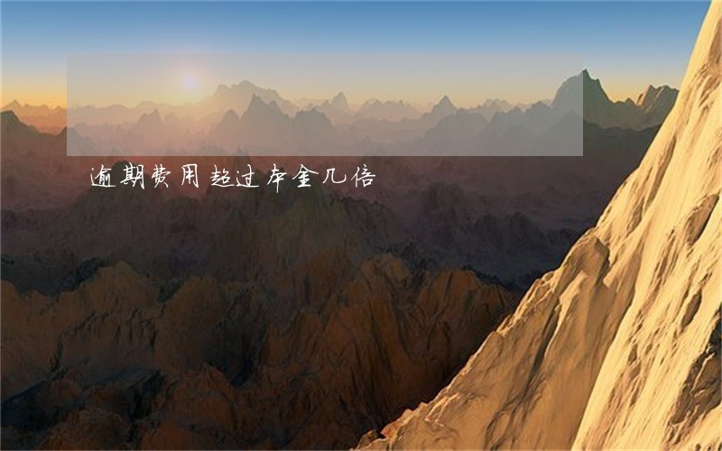 逾期费用超过本金几倍