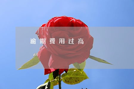 逾期费用过高