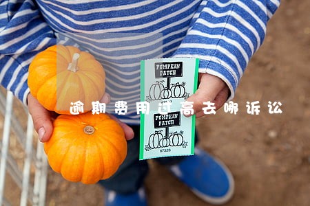 逾期费用过高去哪诉讼 逾期费用过高去哪诉讼