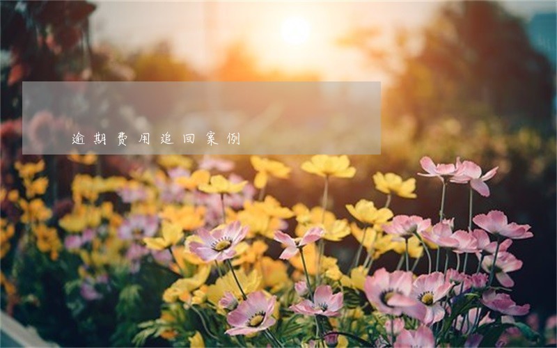 逾期费用追回案例