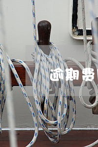逾期费用通知模板