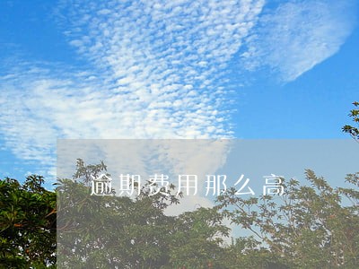 逾期费用那么高 逾期费用那么高