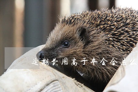 逾期费用高于本金合法么