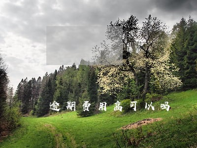 逾期费用高可以吗 逾期费用高可以吗