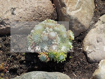 逾期费用高达一天一百 逾期费用高达一天一百
