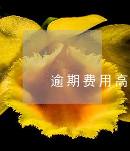 逾期费用高过本金 逾期费用高过本金