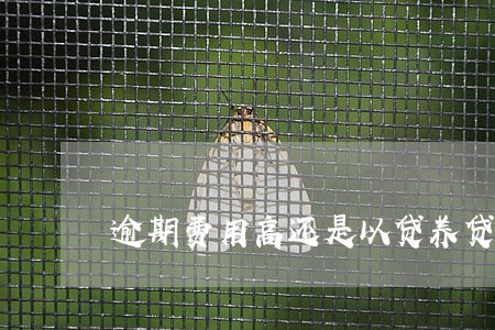 逾期费用高还是以贷养贷费用高 逾期费用高还是以贷养贷费用高