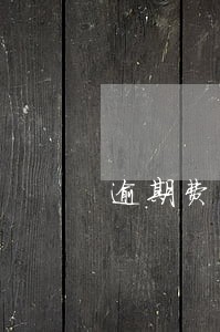 逾期费申请书 逾期费申请书