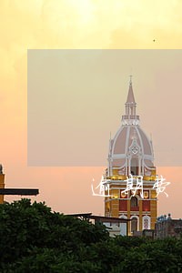 逾期费的 逾期费的