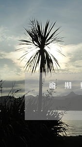逾期费的人多吗