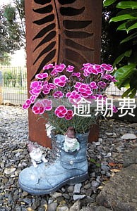 逾期费的年化利率怎么算
