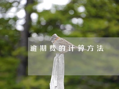 逾期费的计算方法 逾期费的计算方法