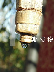 逾期费税率是多少 逾期费税率是多少