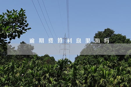 逾期费算利息里面吗 逾期费算利息里面吗