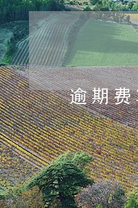 逾期费算到什么时候 逾期费算到什么时候
