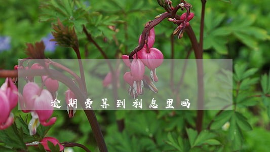 逾期费算到利息里吗