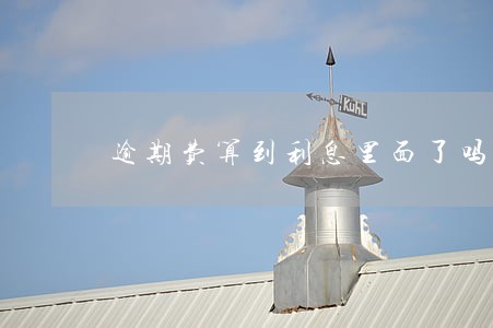 逾期费算到利息里面了吗 逾期费算到利息里面了吗