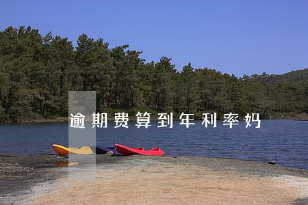 逾期费算到年利率妈 逾期费算到年利率妈