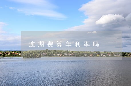 逾期费算年利率吗