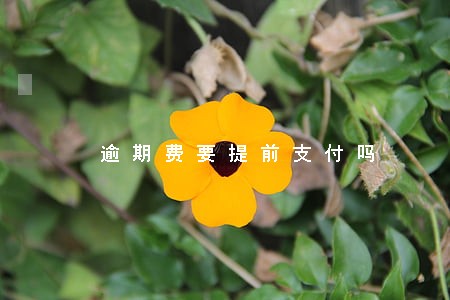 逾期费要提前支付吗 逾期费要提前支付吗