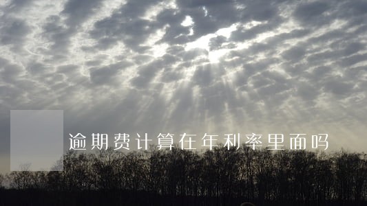 逾期费计算在年利率里面吗