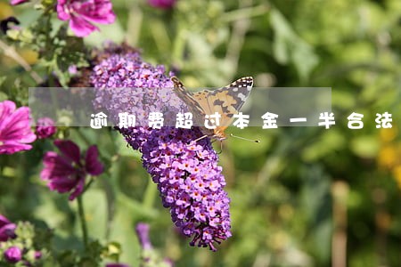 逾期费超过本金一半合法吗 逾期费超过本金一半合法吗