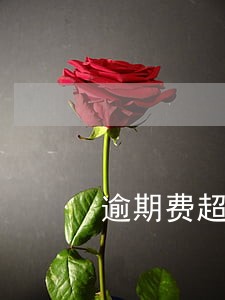 逾期费超过本金可以不还吗