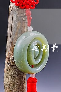 逾期费过高报警 逾期费过高报警